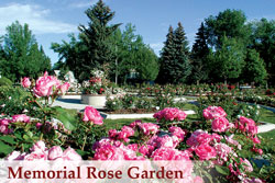 memorial-rose-garden-wedding-venue-rental