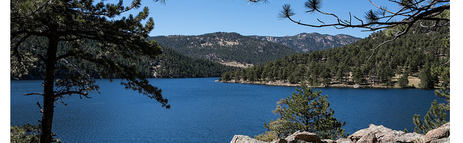 Lake surrounded by trees at Button Rock Preserve