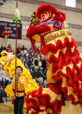 Boy holds participates in a colorful cultural parade