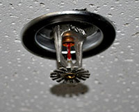 Fire Suppression Sprinkler Head