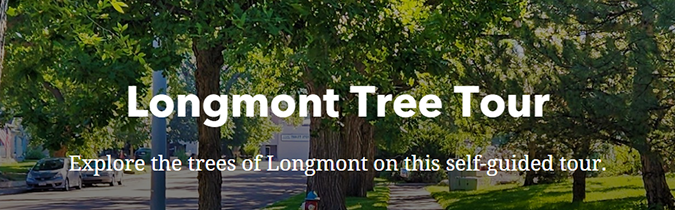 Longmont Tree Tour