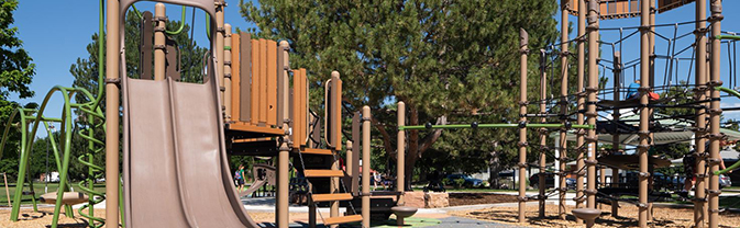 A new play structure is surrounded by conifers.