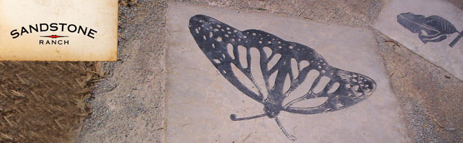 butterfly art at Sandstone Ranch Playground Area