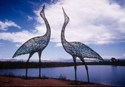 an outdoor sculpture with 2 wire woven heron birds are shown with grass in the foreground, a body of water behind them and a burst of sunlight in a blue sky behind them