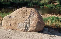 a sculpture of a carved rock with flower imprints near a concrete sidewalk and green grass is shown