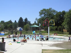 Kanemoto Activity Pool