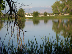 Jim Hamm Nature Area