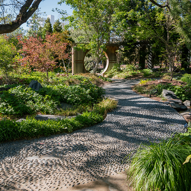 Afternoon view of the beautiful Denver Botanic Gardens, Colorado