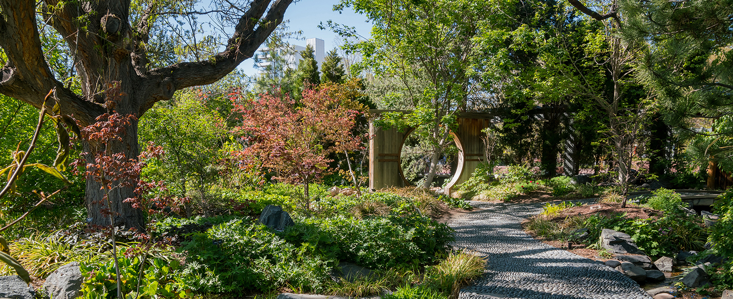 Japanese inspired garden at the Denver Botanic Gardens