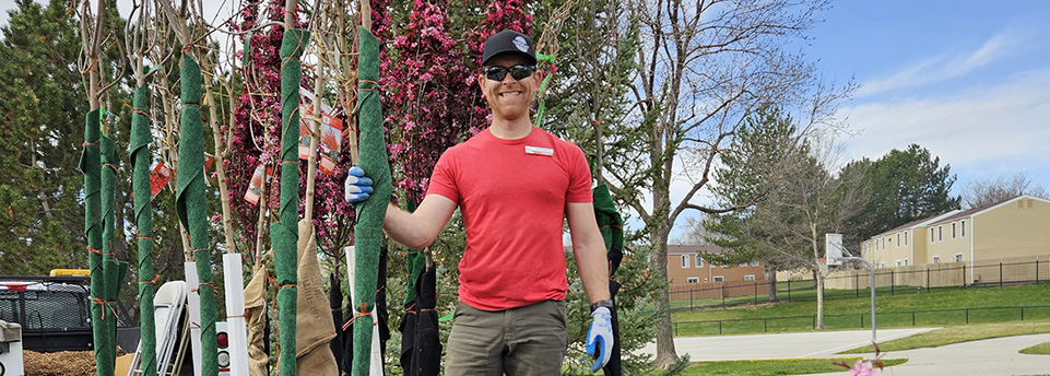 A man is a red shirt is holding one of many seedlings in anticipation of a tree sale.